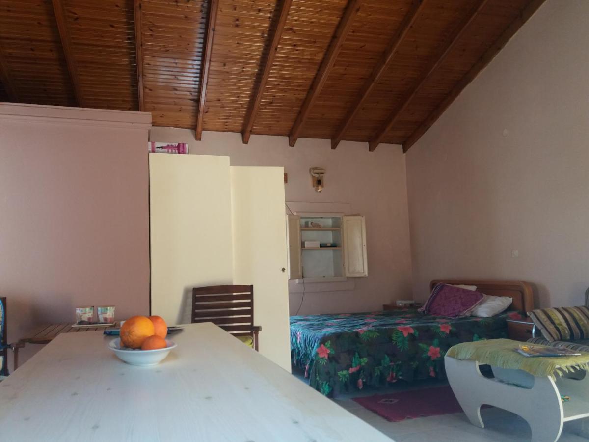 Elm Tree Dream Catcher Chalet