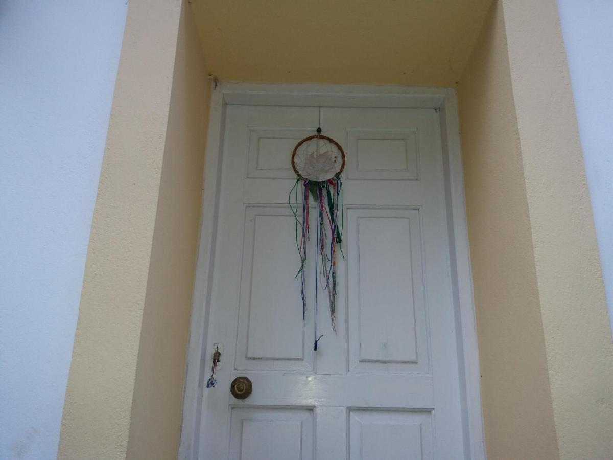 Elm Tree Dream Catcher *